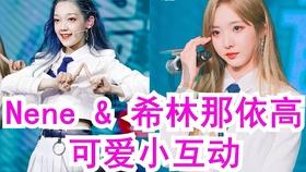 犀牛森林大逃生